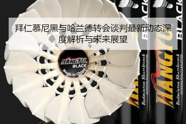 拜仁慕尼黑与哈兰德转会谈判最新动态深度解析与未来展望